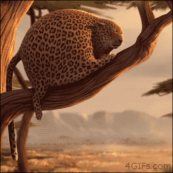 treeleopard