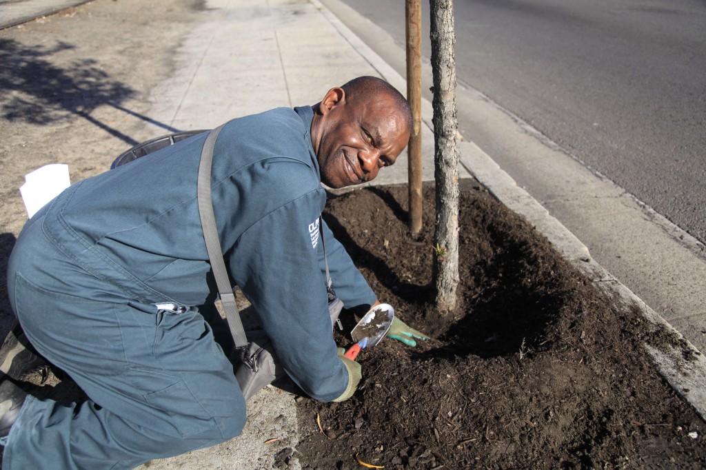 Coach Ron cares for trees in LA's downtown