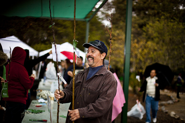 LA resident given free fruit tree at TreePeople's Pacoima Fruit Tree Festival at Roger Jessup Park.