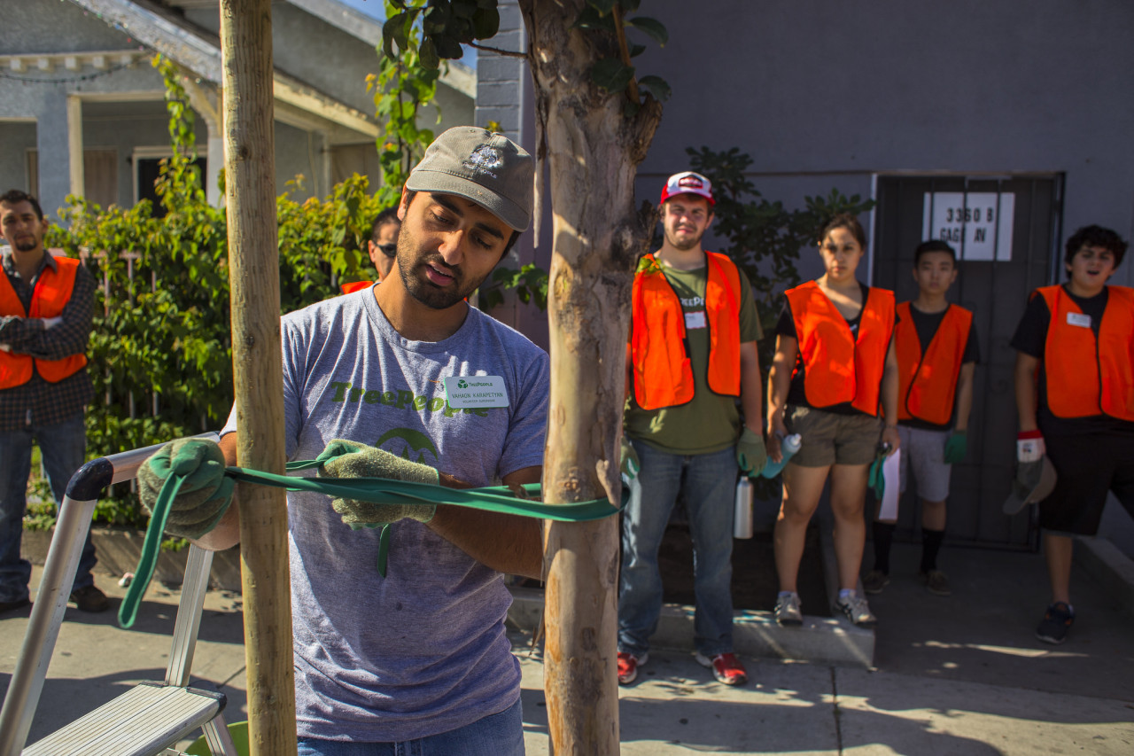 Volunteer Supervisor, Vahagn Karaptyan, leads a tree care demonstration to volunteers