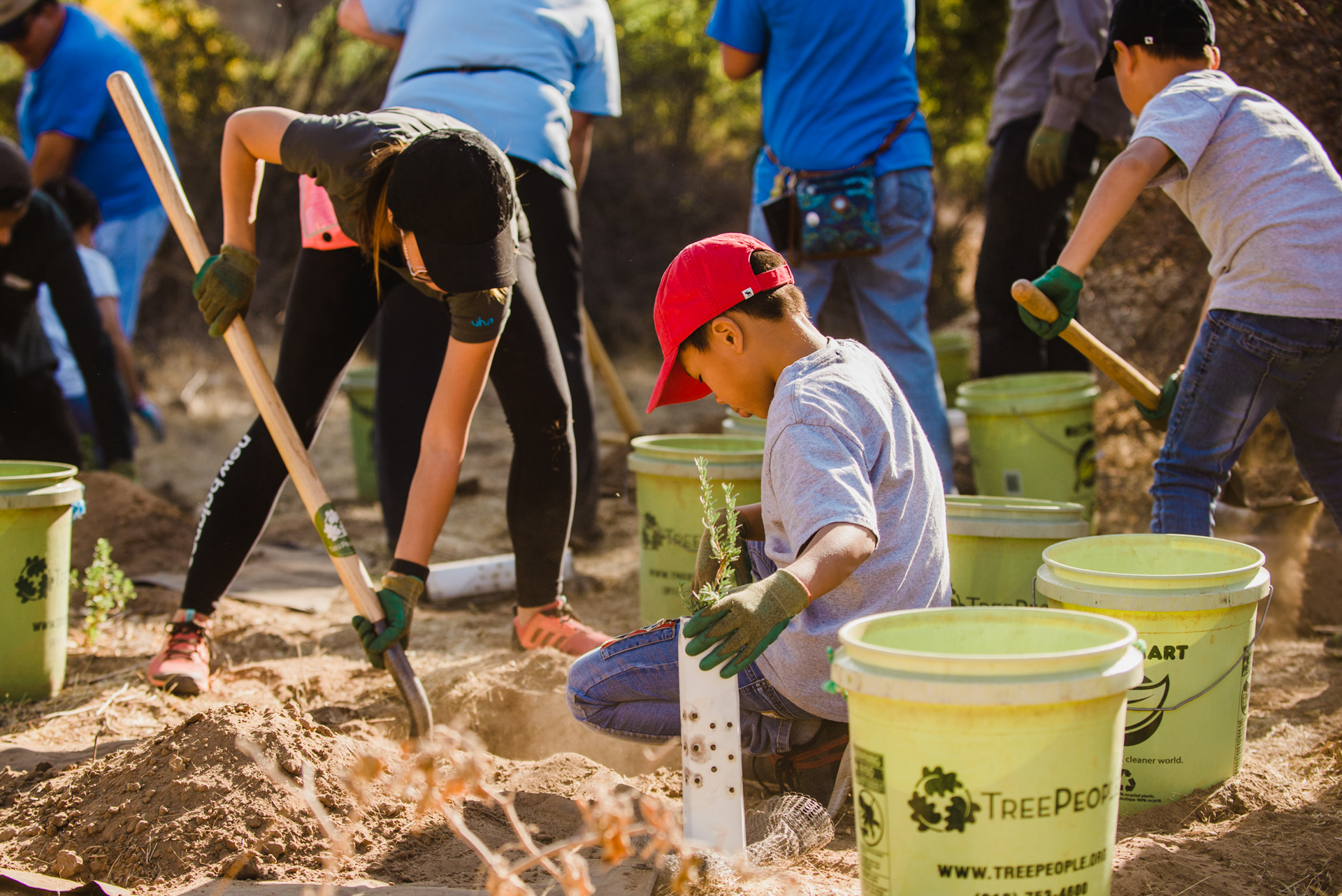 Tree Planting