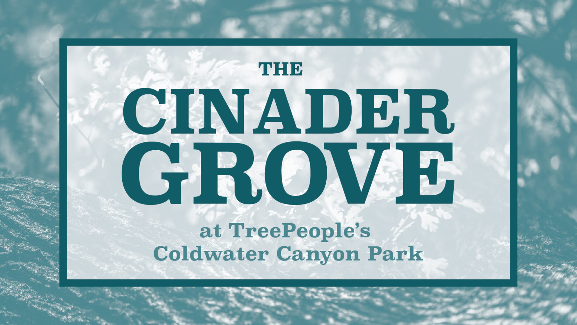 The Cinader Grove at TreePeople's Coldwater Canyon Park