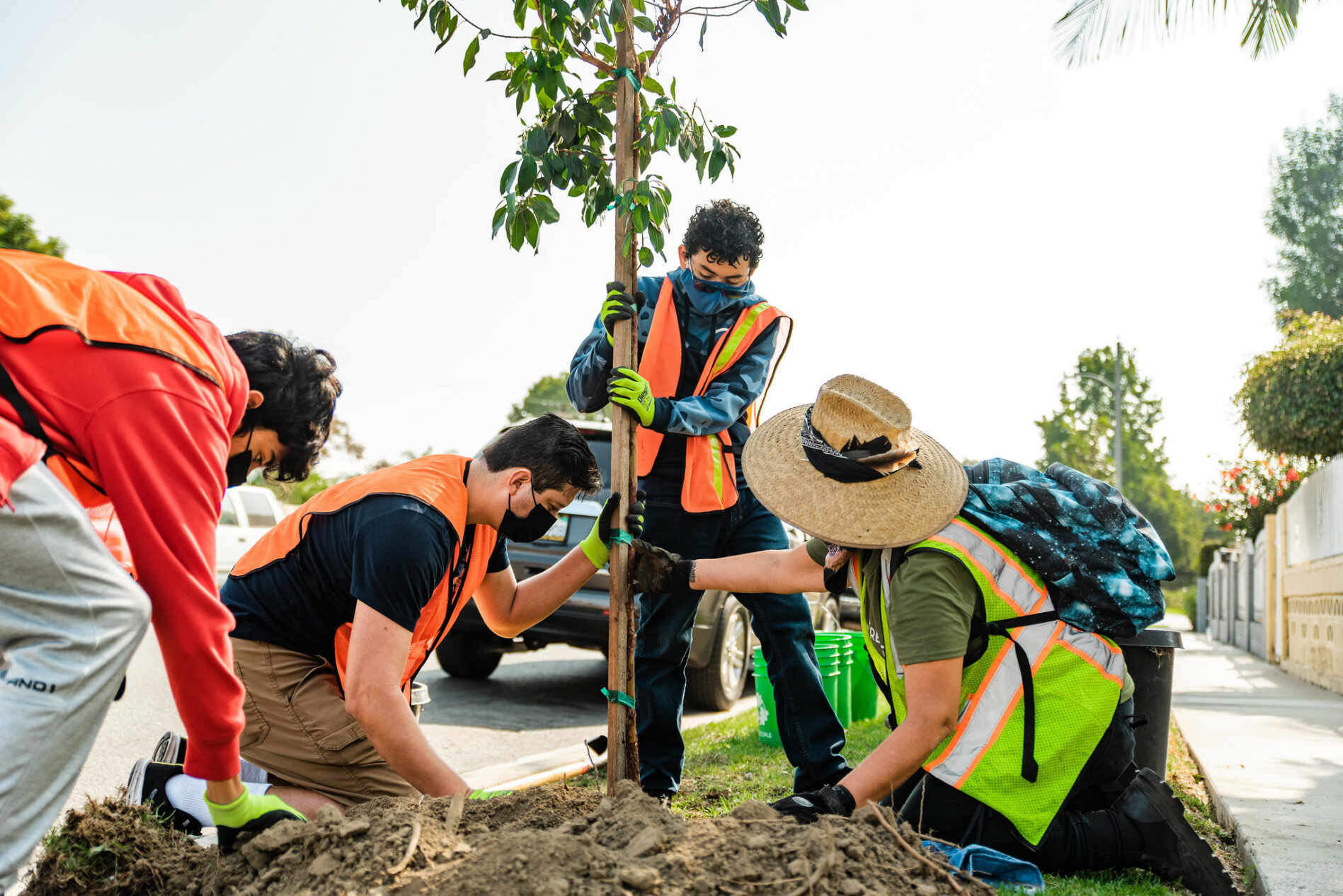 TreePeople staff and volunteers planting a tree at TreePeople's Lynwood planting kickoff.