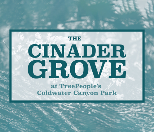 The Cinader Grove