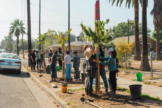 TreePeople volunteers planting trees in Riverside, CA