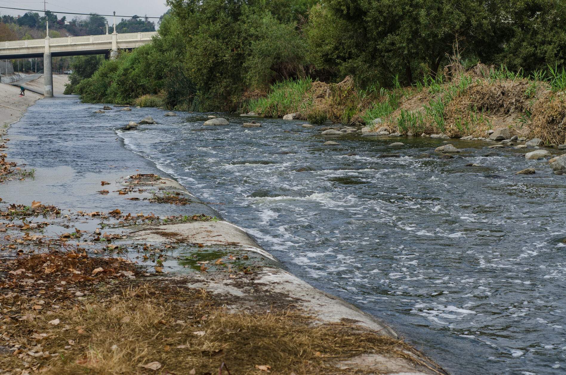 Water moving through the Los Angeles River