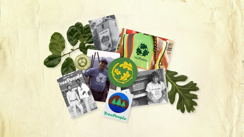 A scrapbook-inspired collage of vintage and contemporary photographs of TreePeople's logos over the years, vinyl stickers, pins, and oak leaves scattered over yellow wrinkled archival paper.